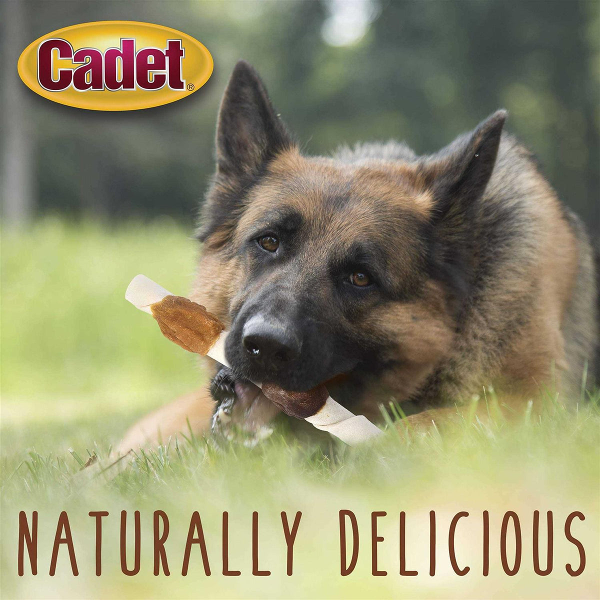 Rawhide Dog Treats M287770