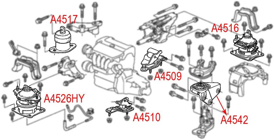 Engine Motor Mount Set for Honda Accord 2.4L C437