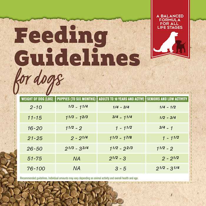 Organic Chicken & Liver Recipe Dry Dog Food K77142