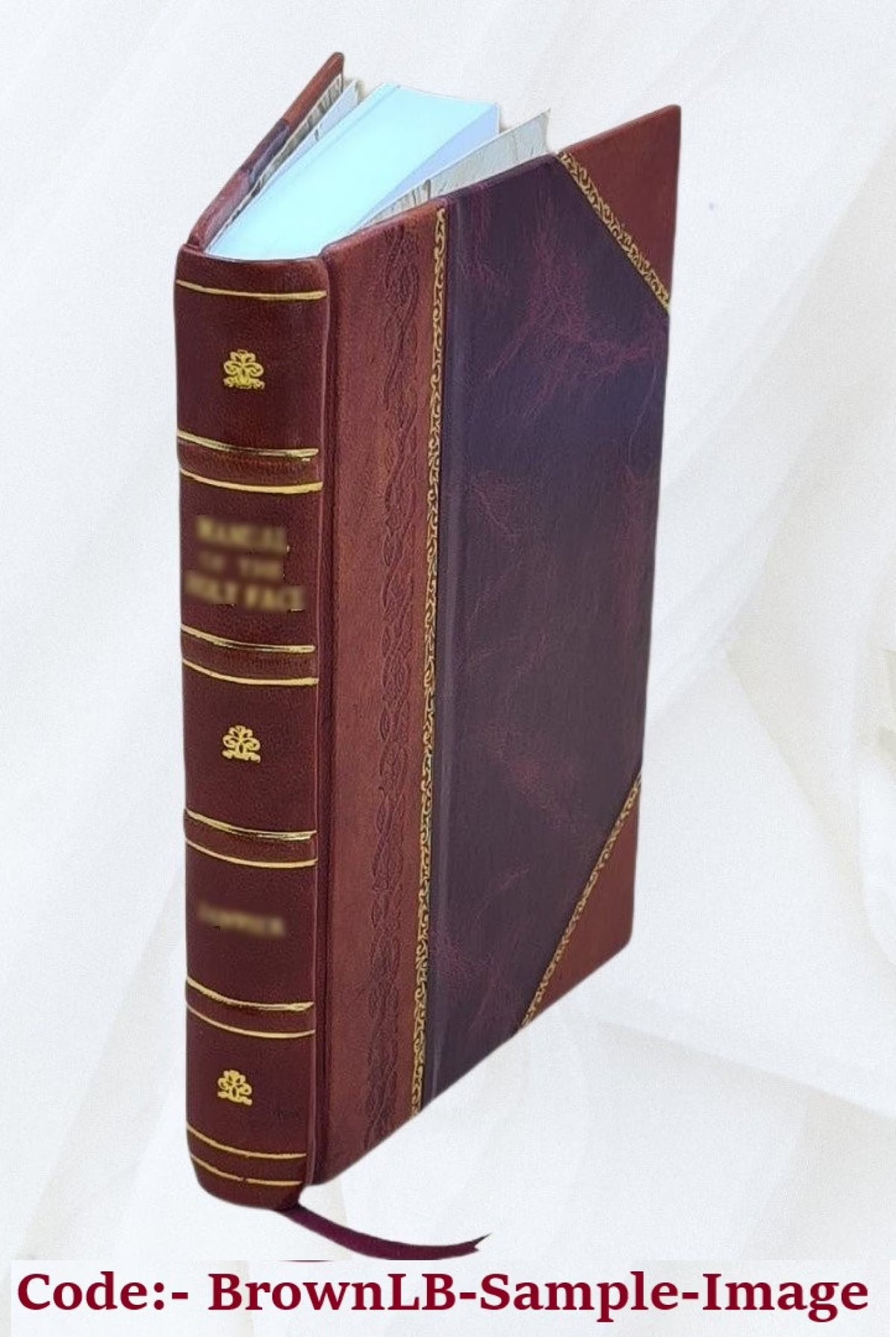 Leather Bound Book Q566