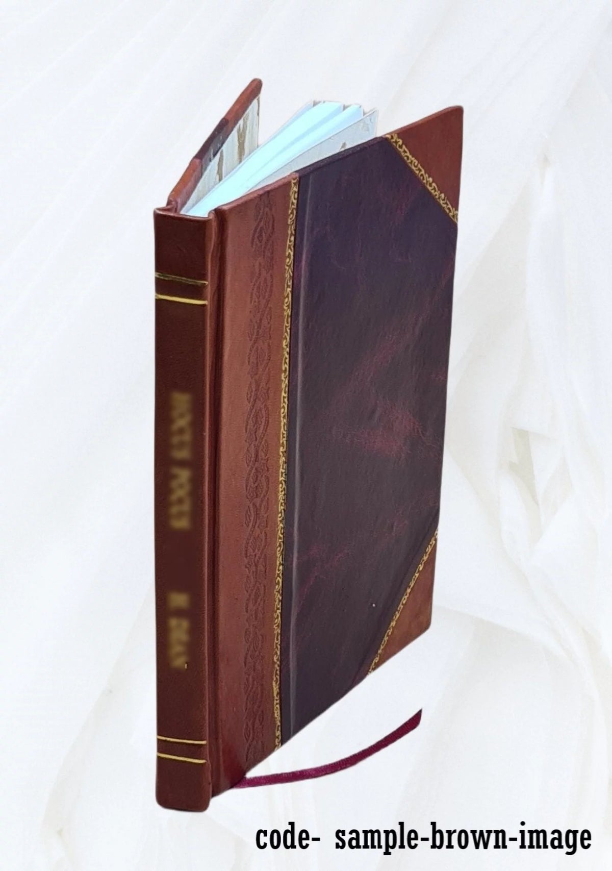 Waterway from head of Lake Superior to the sea report Leather Bound R452213