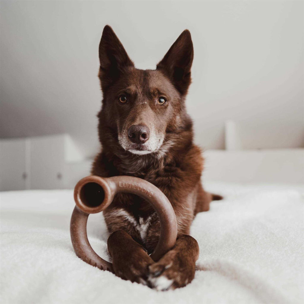 Durable Dog Chew Toys Y90978