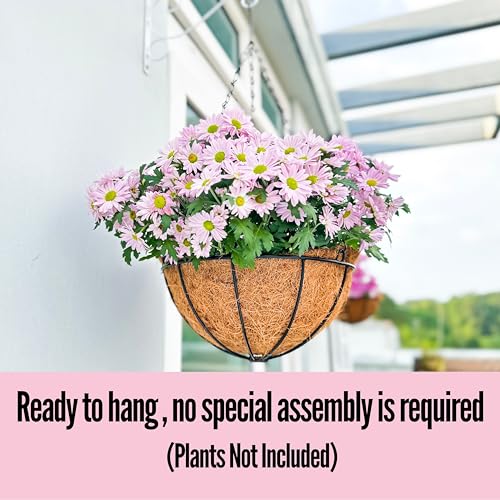 3 Pack 10 Inch Hanging Planter with Coco Liner Metal Wire Basket Q527636