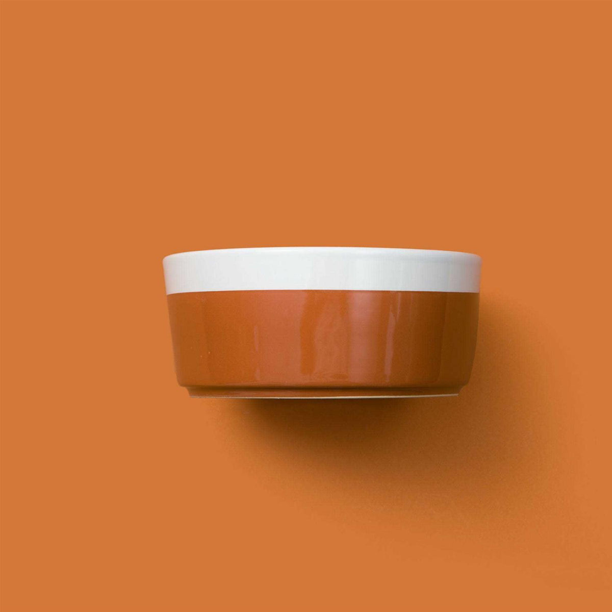 Ceramic Dog Bowl Y61180
