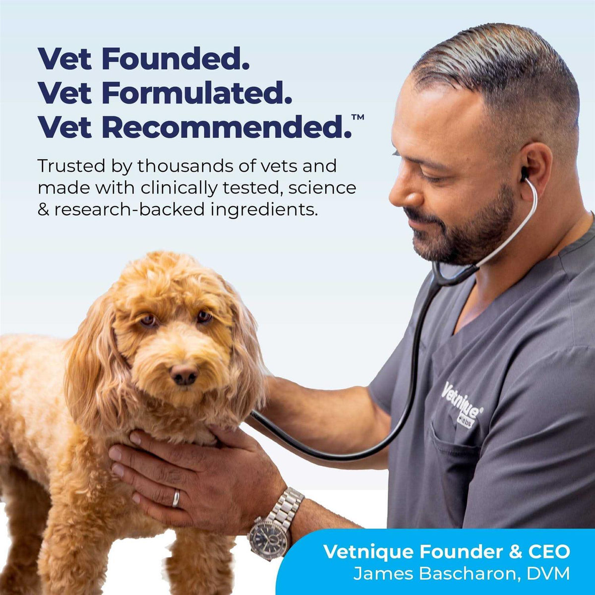Anal Gland Support Powder for Dogs & Cats Z5437