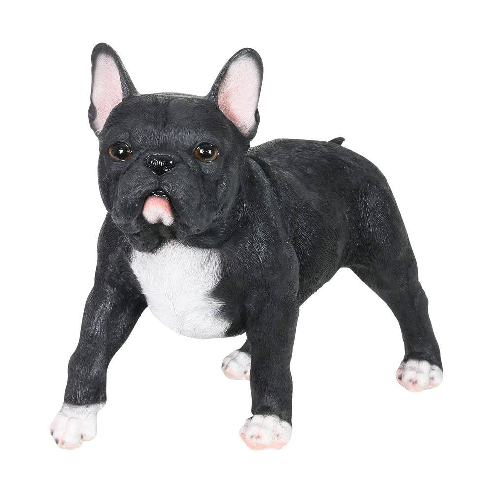 Hand Painted Black French Bulldog Statuary 12 inch Resin S592522