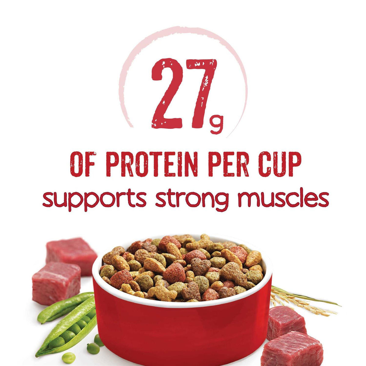 Beef Dry Dog Food Z110