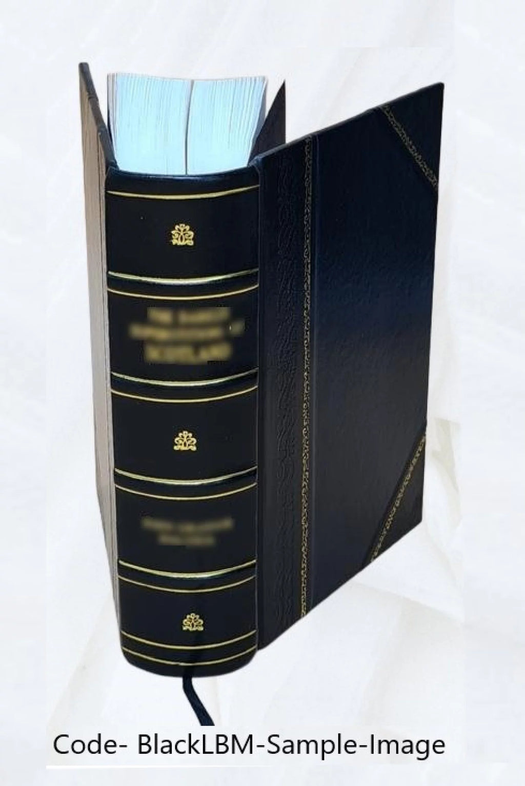 Leather Bound M652349