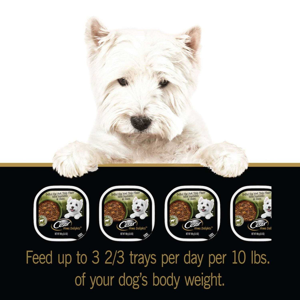 Vegetables Dog Food V788377