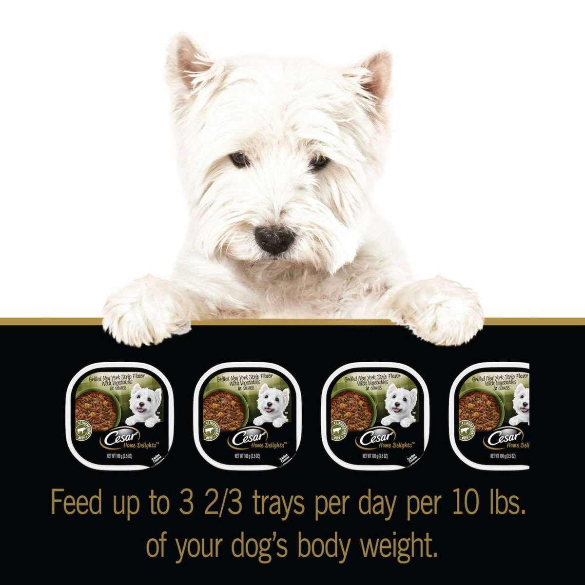 Vegetables Dog Food V788377