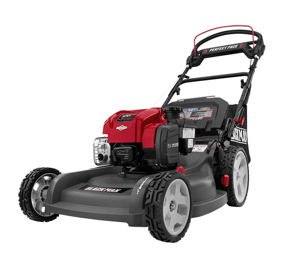 Black 21-inch 3-in-1 Self-Propelled Gas Mower Q9580