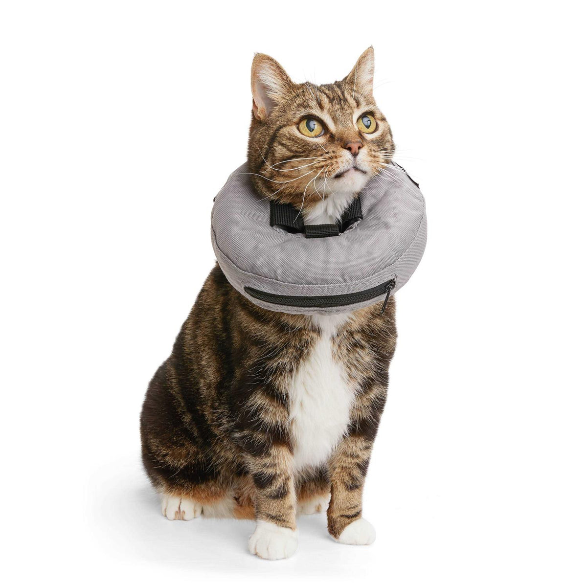 Inflatable Recovery Cat Collar V505050