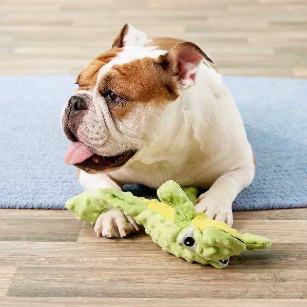 Dog Toy R66515