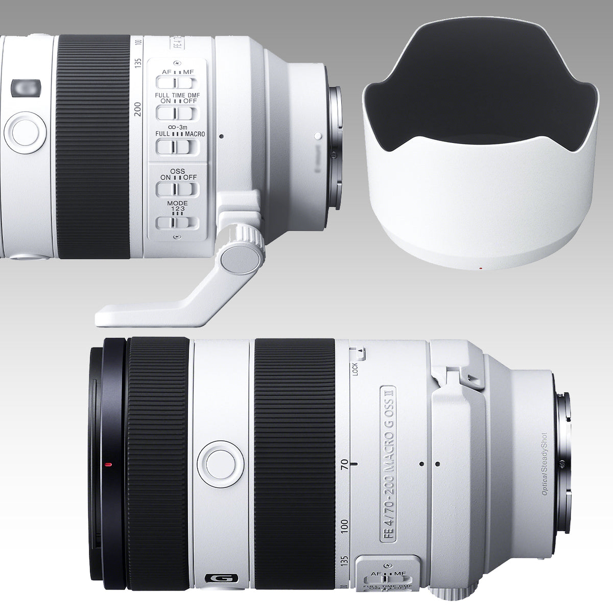 Sony FE 70-200mm f/4 Macro G OSS II Lens Bundle (10pc Bundle) X942750