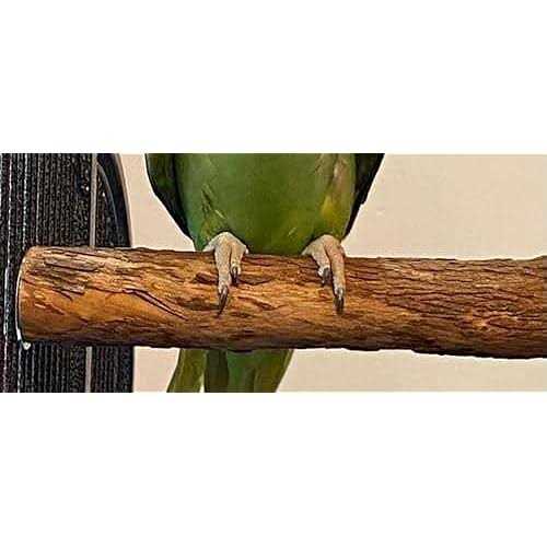 Hardwood Bird Perch C4290