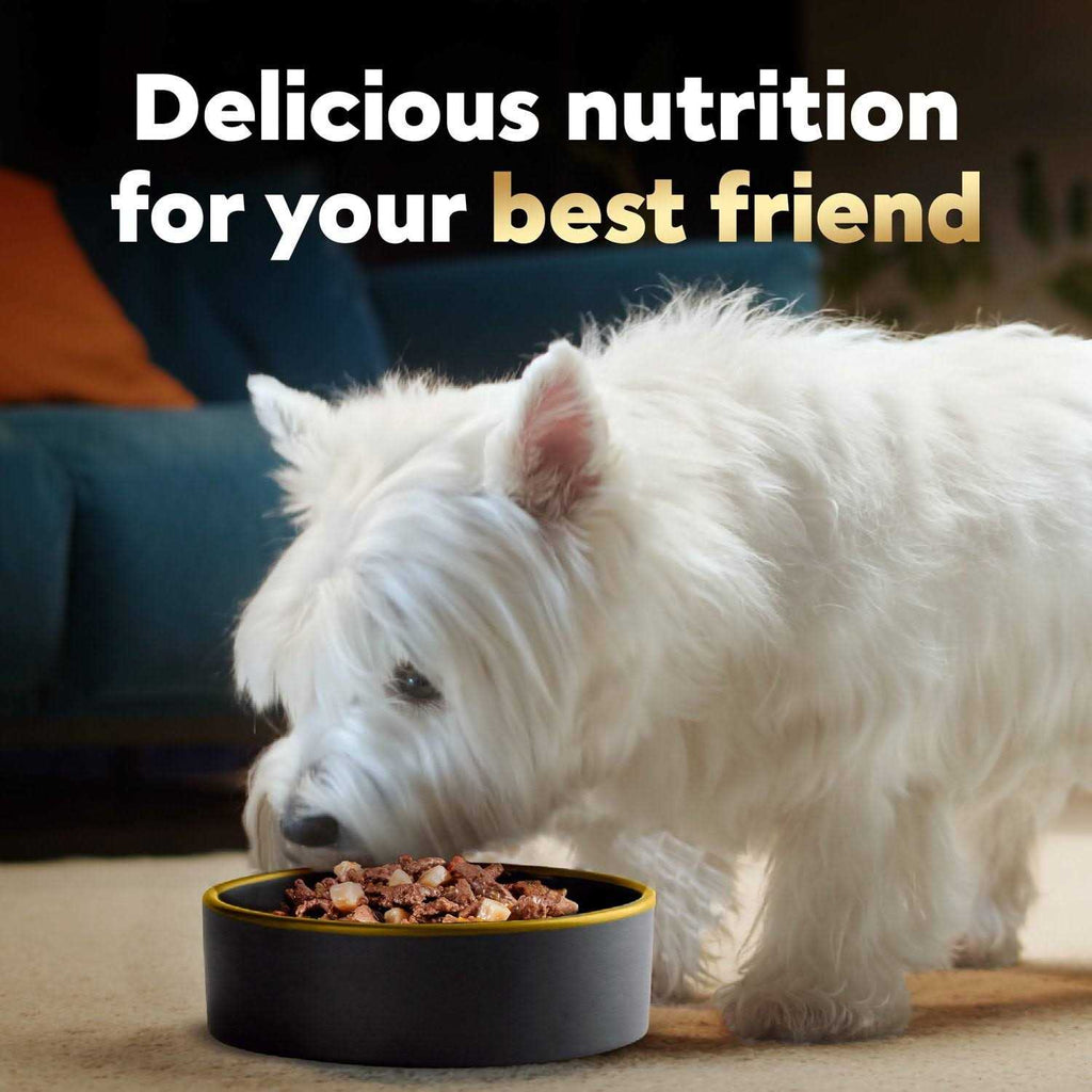 Vegetables Dog Food V788377