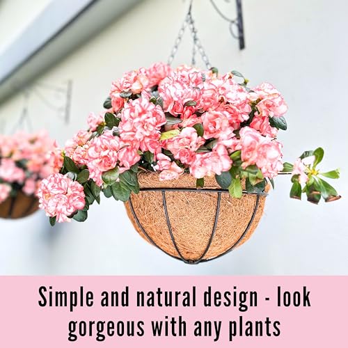 3 Pack 10 Inch Hanging Planter with Coco Liner Metal Wire Basket Q527636