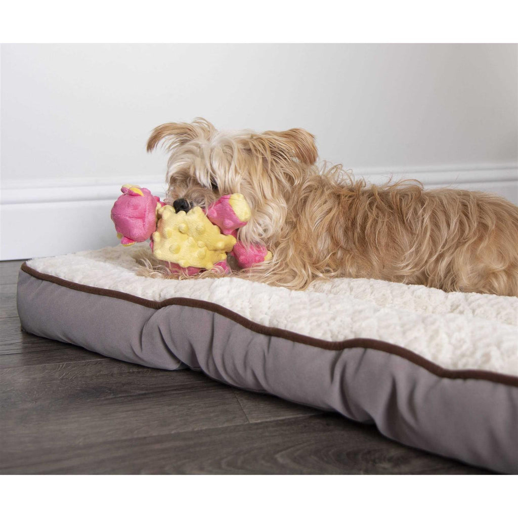 Dog Toy N932