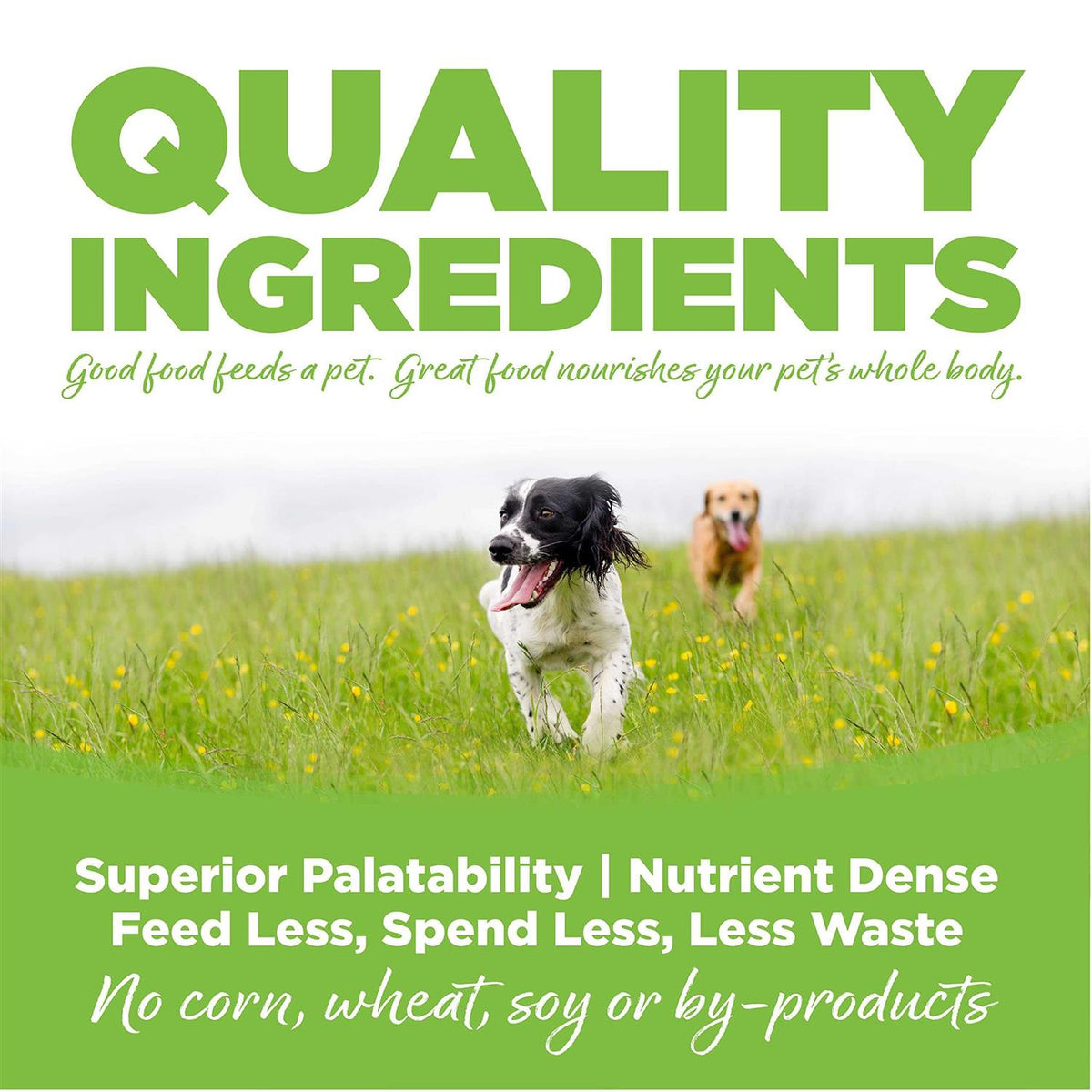 Chicken Weight Management Dry Dog Food Q9719