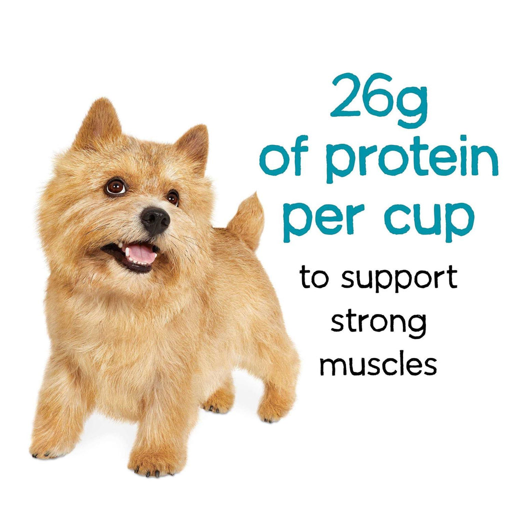 Beef Dry Dog Food Z110