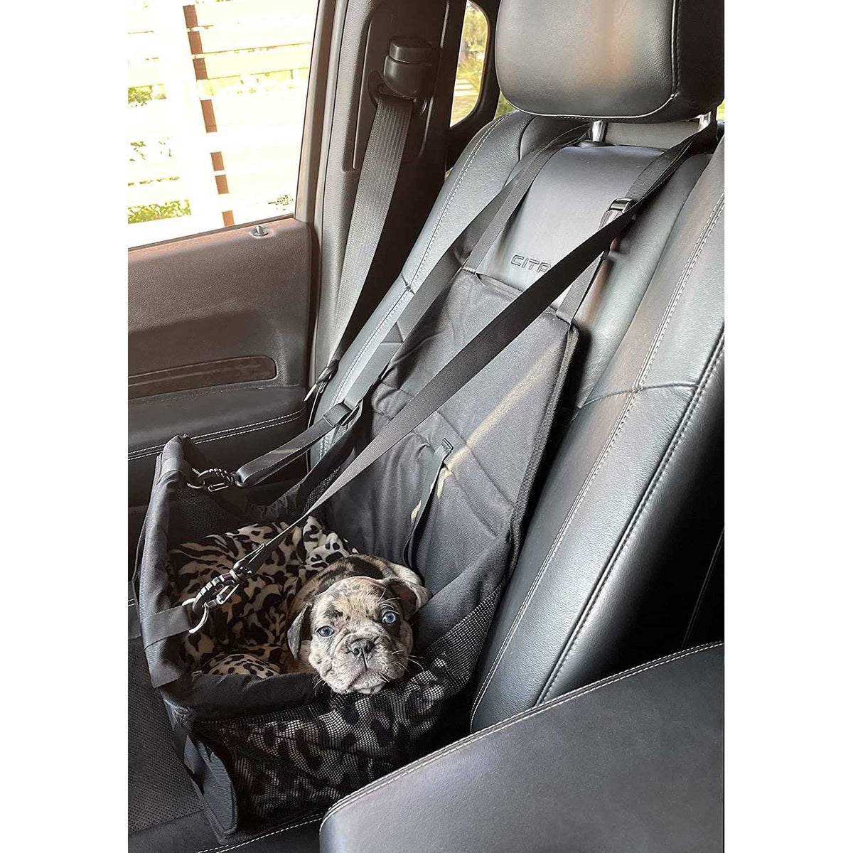 Pet Car Seat M752369
