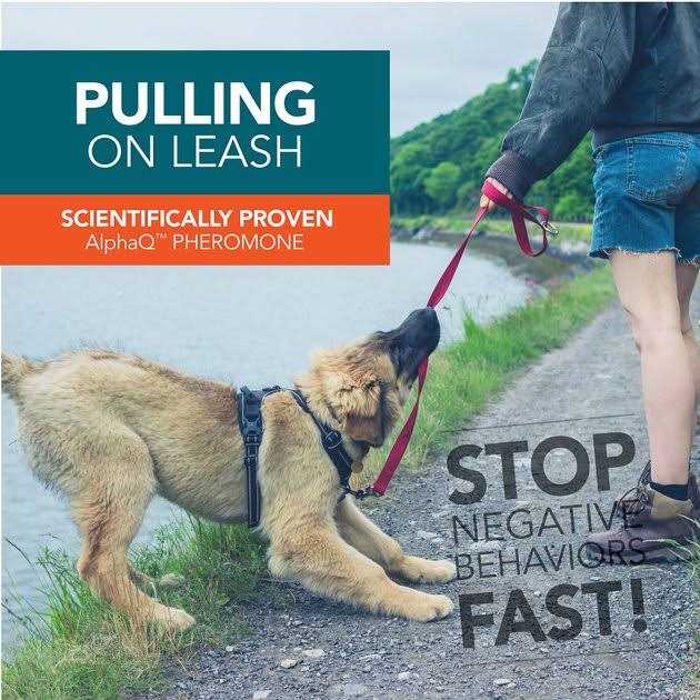 Dog Correction Spray U970