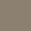 Pantone TPG Sheet 17-1310 Timber Wolf A202