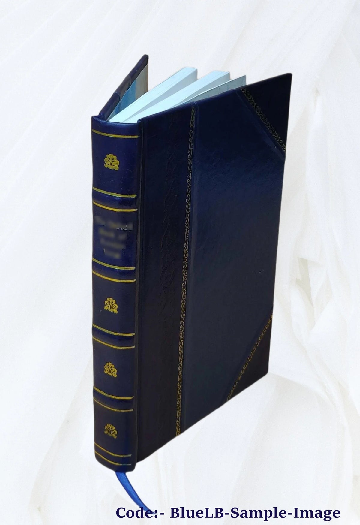 Leather Bound Book Q566