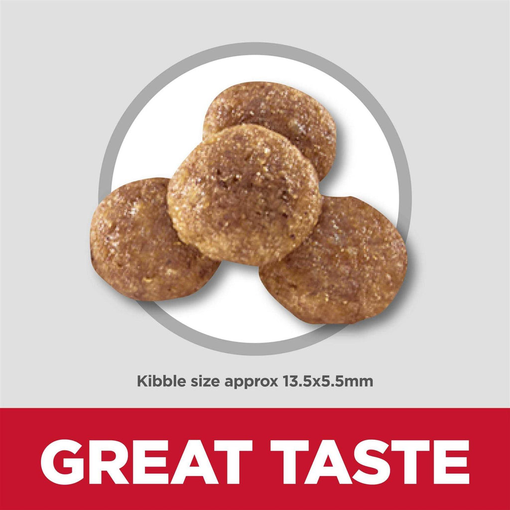 Dry Dog Food O656