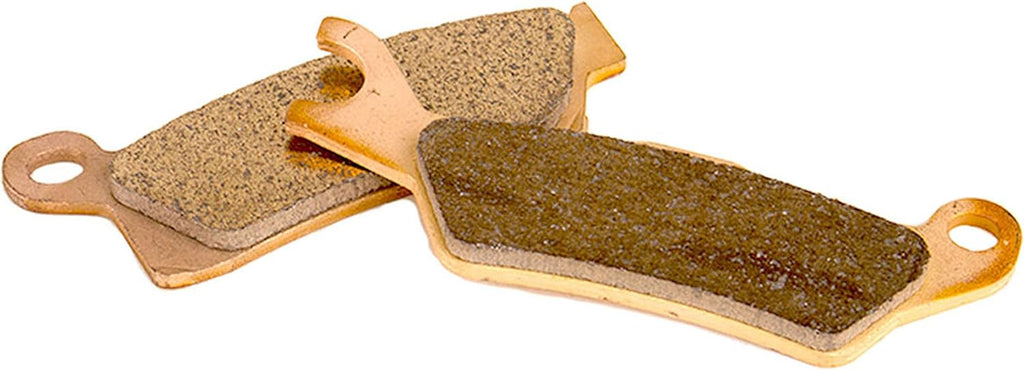 Rear Brake Rotor and Brake Pads Pack of 2 C1689