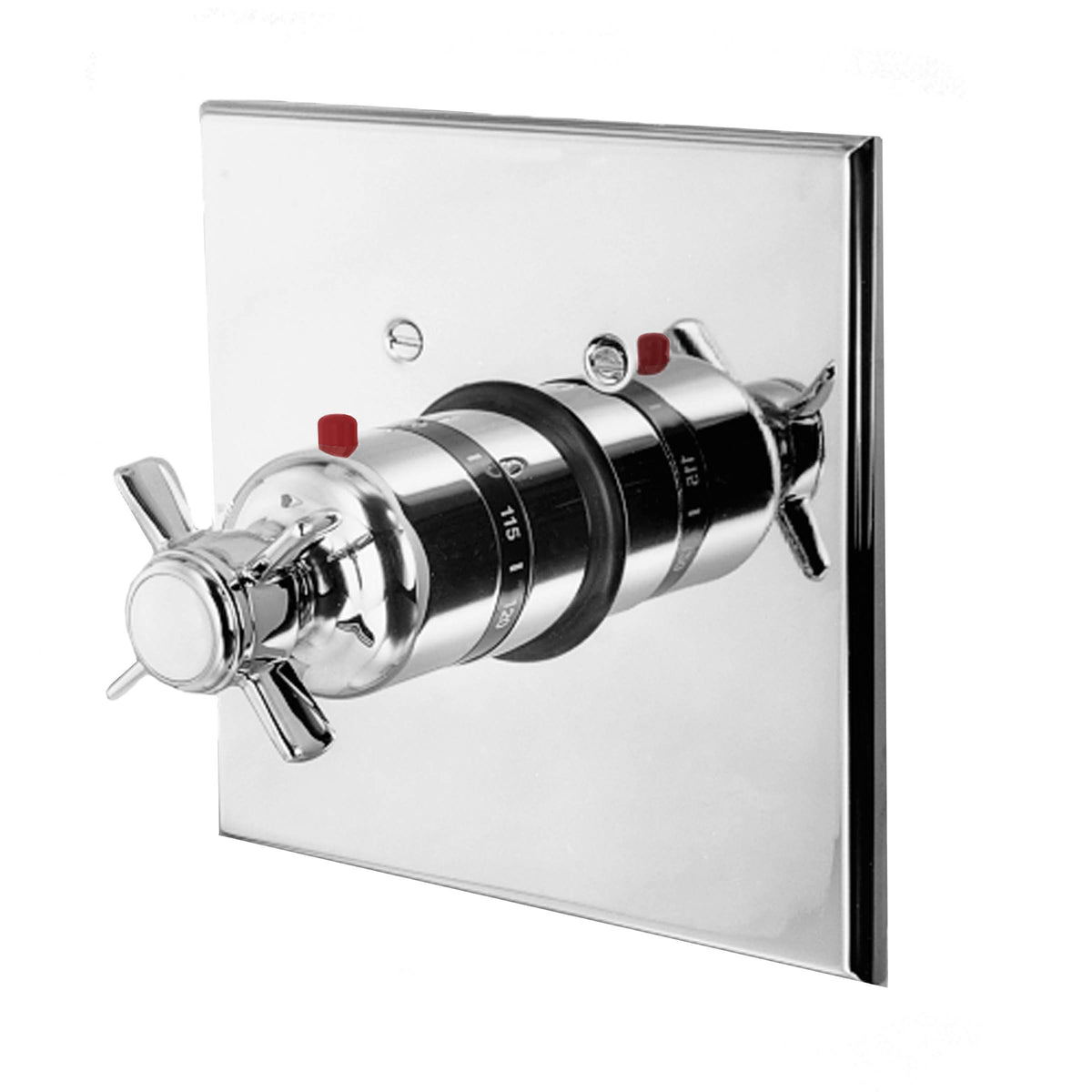 Thermostatic Trim Plate with Handle Stainless Steel D87797