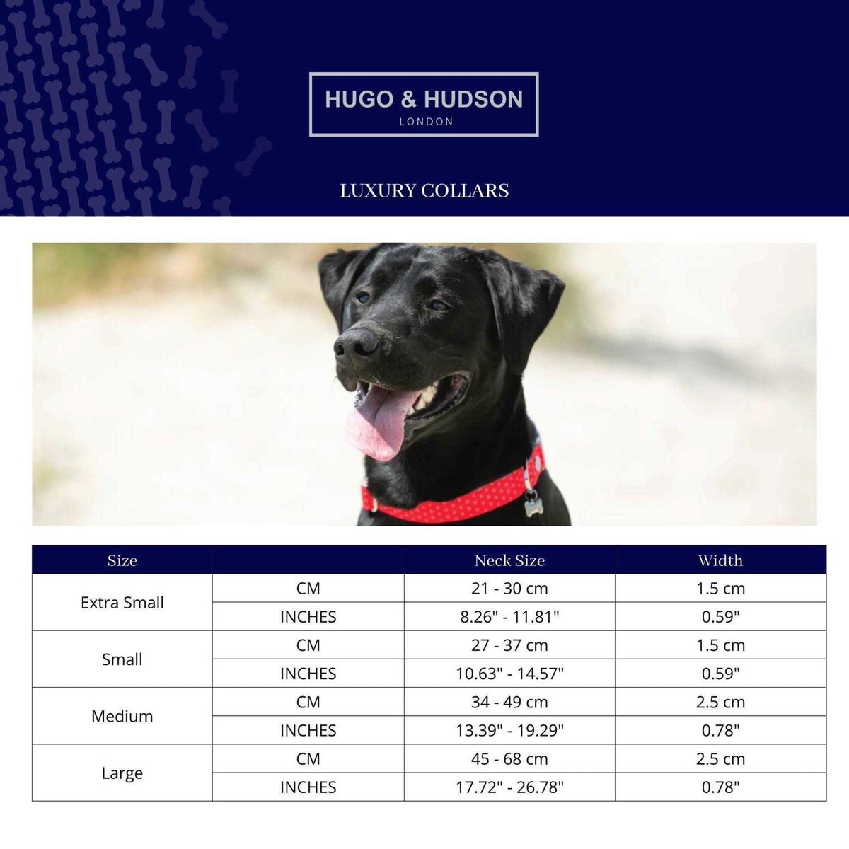Nylon Dog Collar B2148