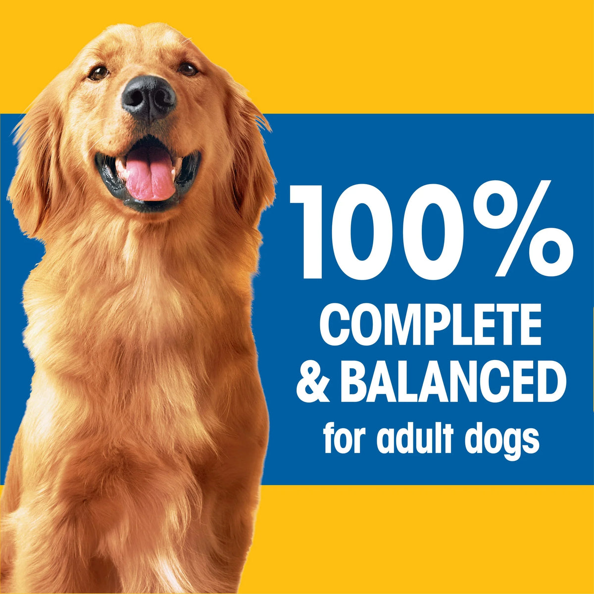 18 lb. Dry Dog Food P775852