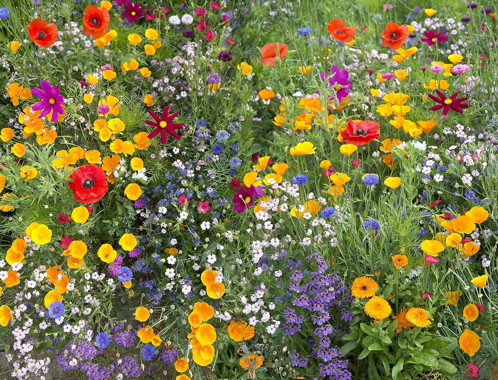 Wildflower Mix K132272