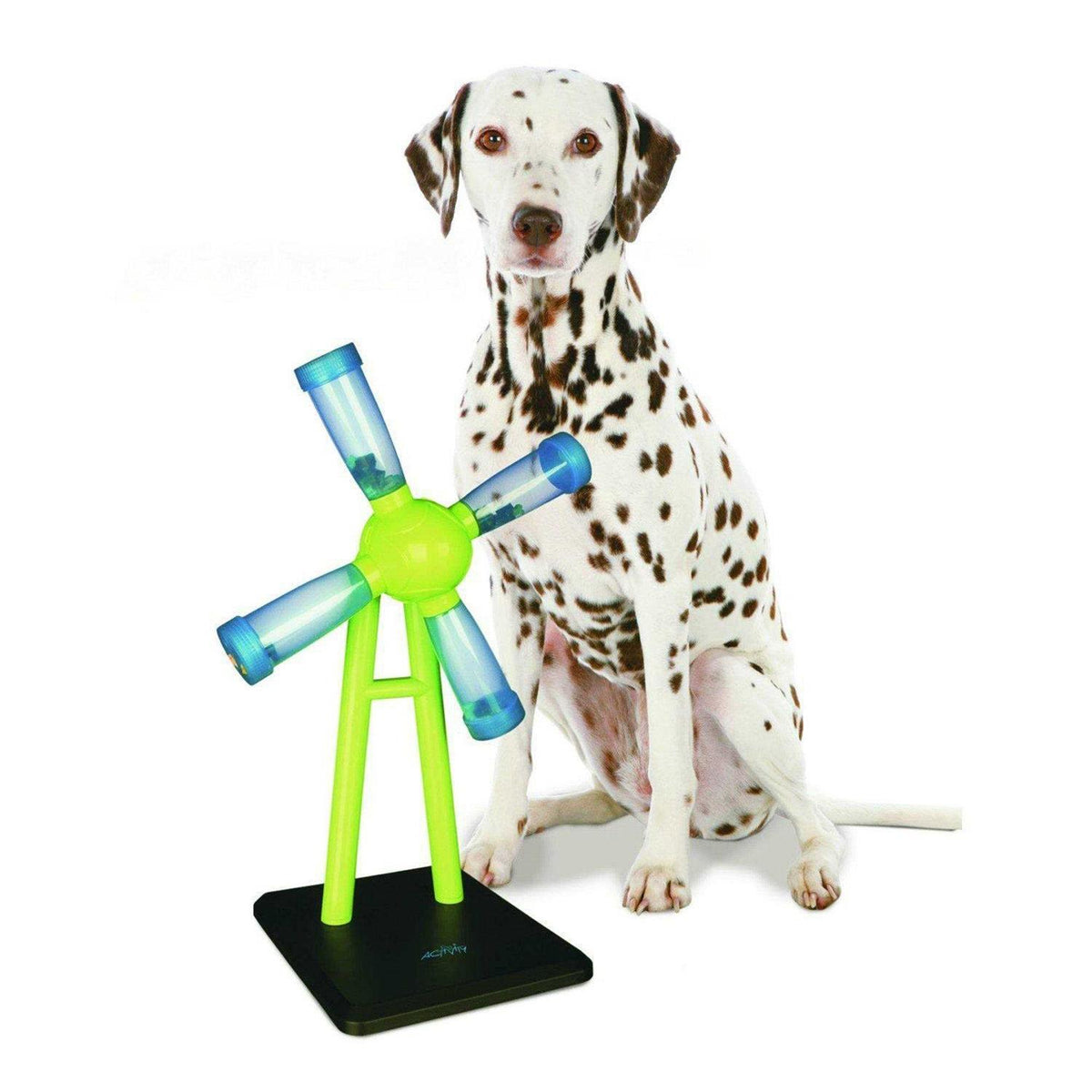 Windmill Dog Activity Strategy Game X505156