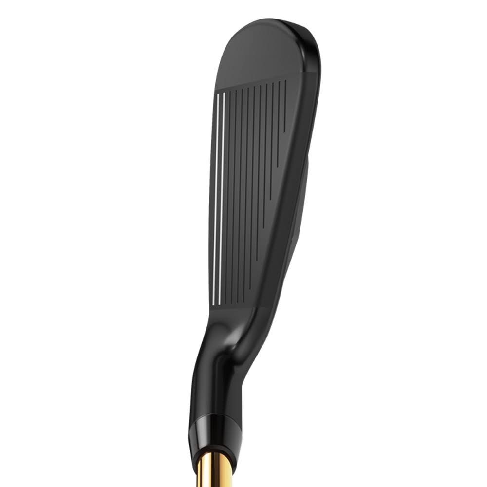 Graphite SW Regular RH Individual Iron G9104