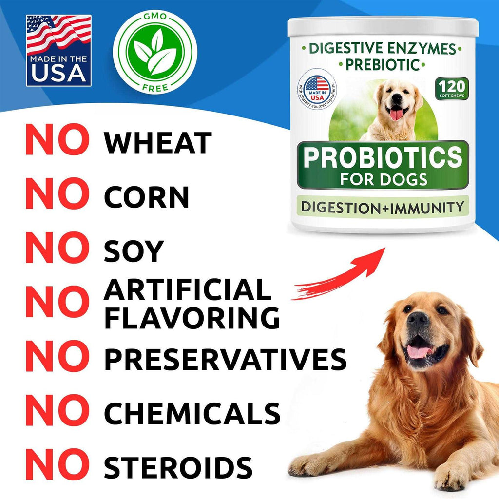 Probiotics For Dogs G66487