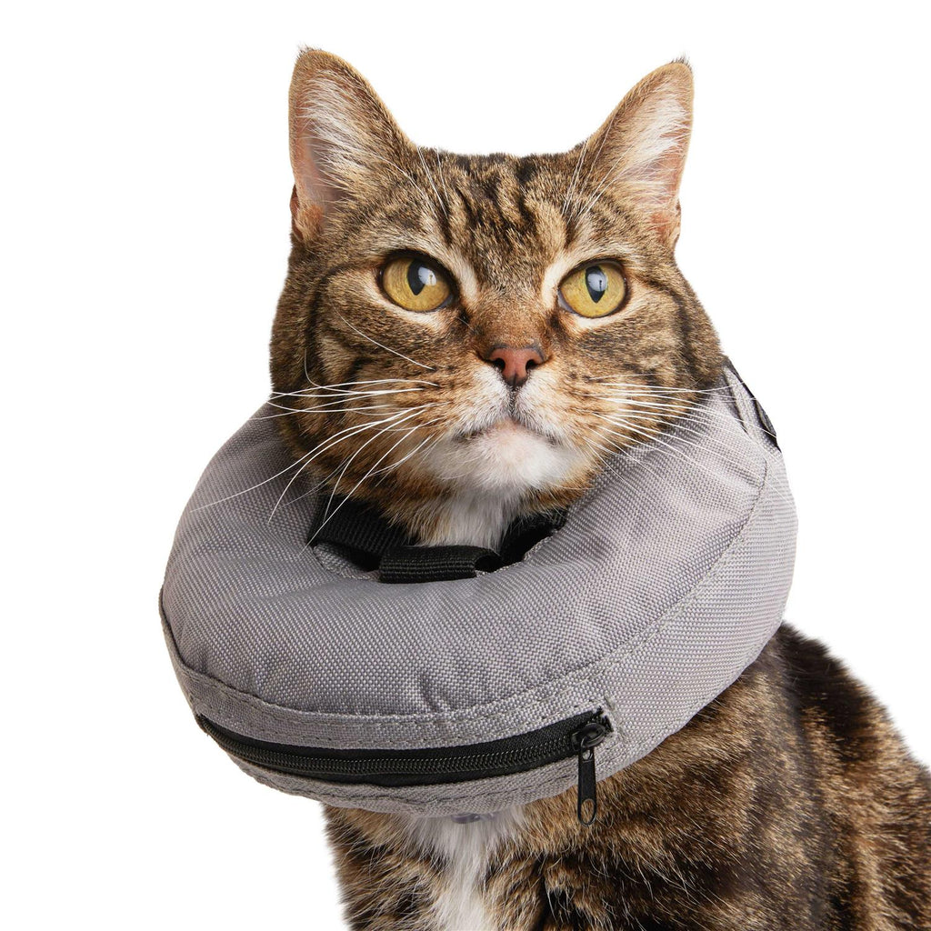 Inflatable Recovery Cat Collar V505050