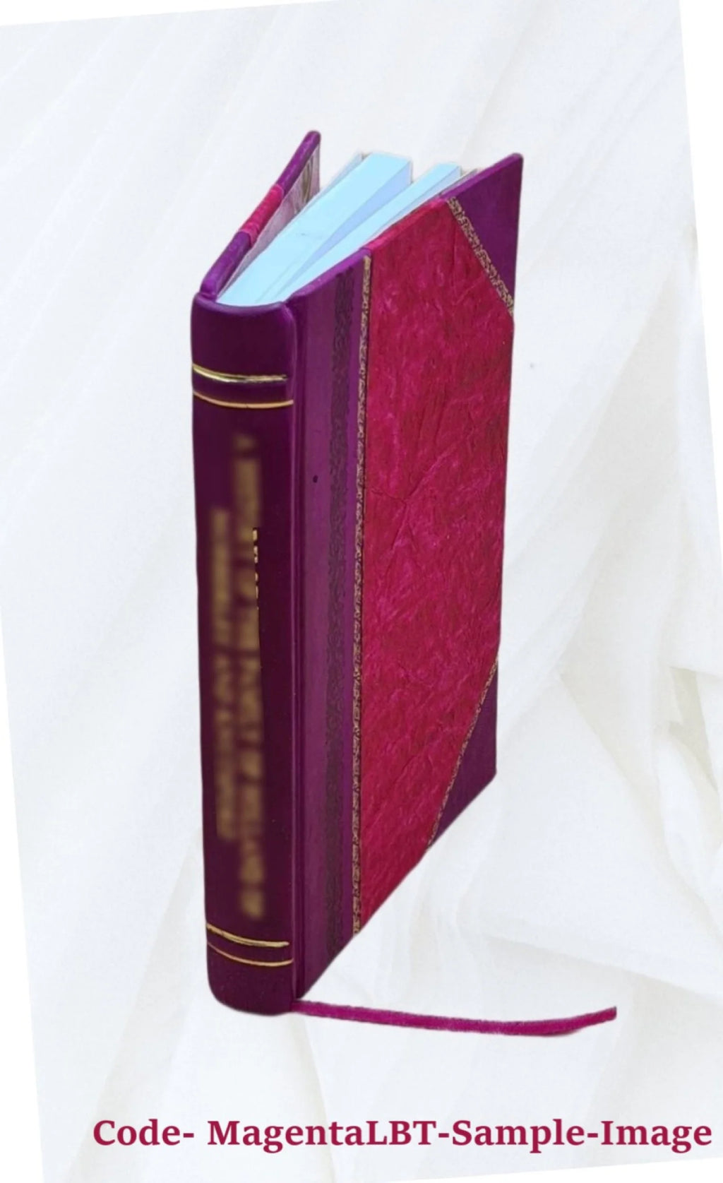 Waterway from head of Lake Superior to the sea report Leather Bound R452213