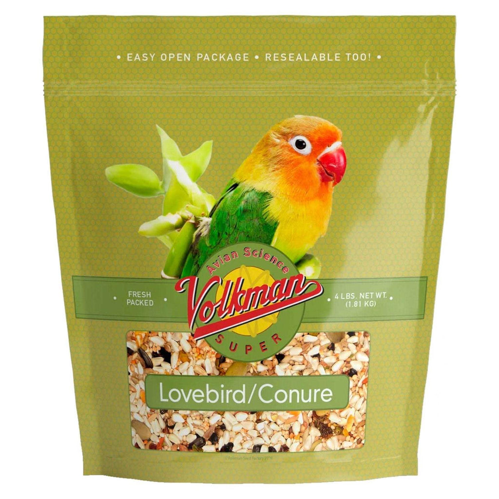Conure Lovebird E6566