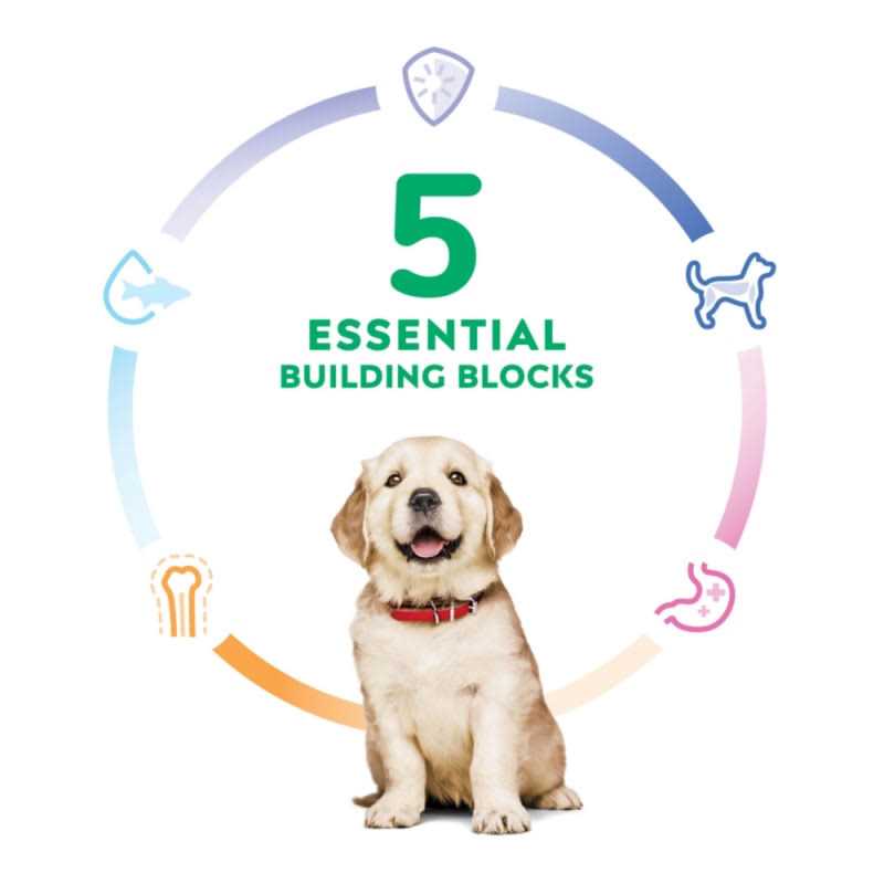 Dry Dog Food O656