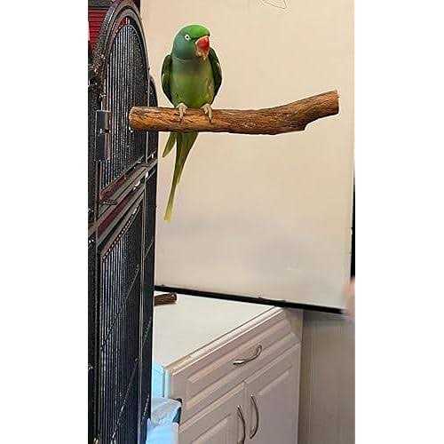 Hardwood Bird Perch C4290