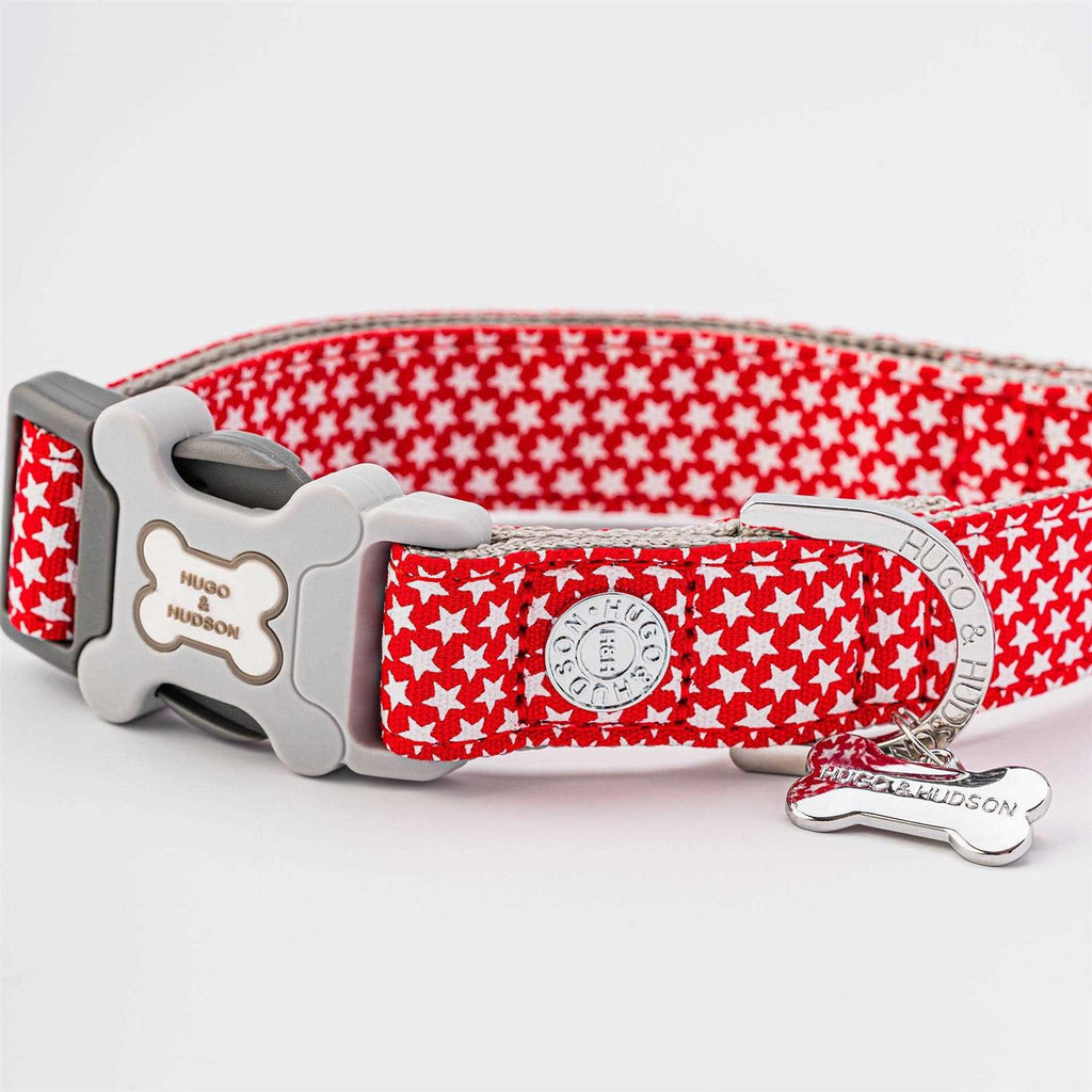 Nylon Dog Collar B2148