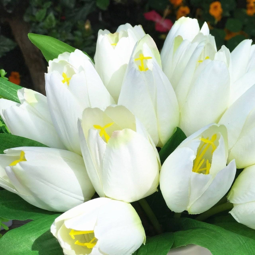 Cream Silk Tulips in White Ceramic Vase F5318