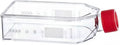 T75 Tissue Culture Flask, Canted Neck with Filter Cap, 250 mL Volume (Pack of 50) S742
