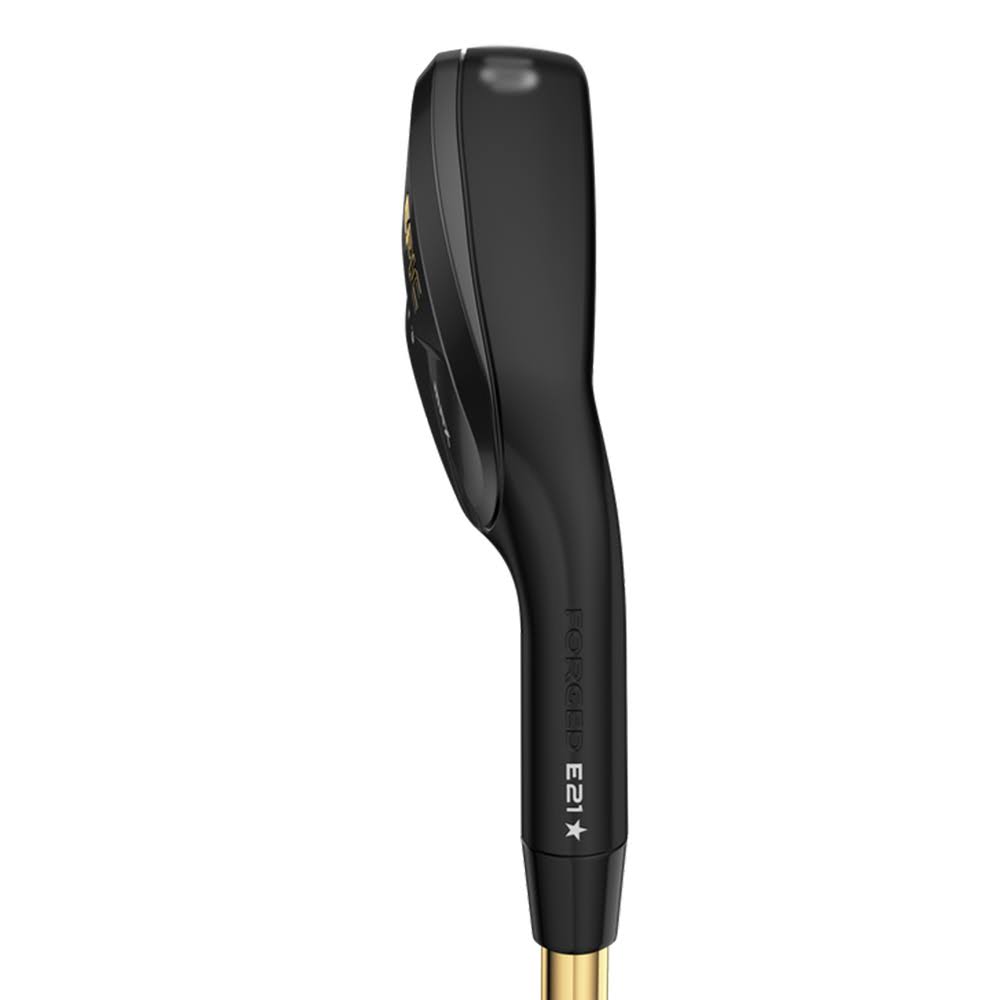 Graphite SW Regular RH Individual Iron G9104