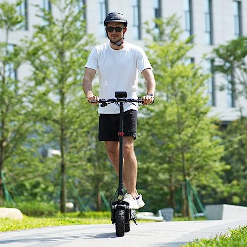 800W Motor 10" Tires Folding Electric Scooter E6716