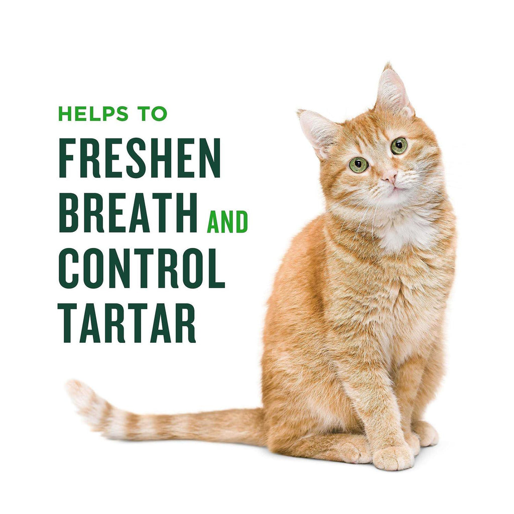 Minties Dental Treats for Cats L867807
