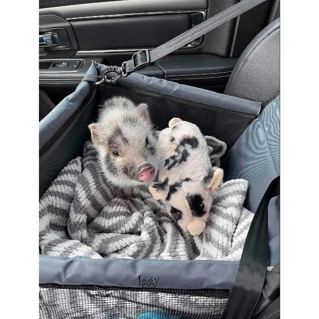 Pet Car Seat M752369
