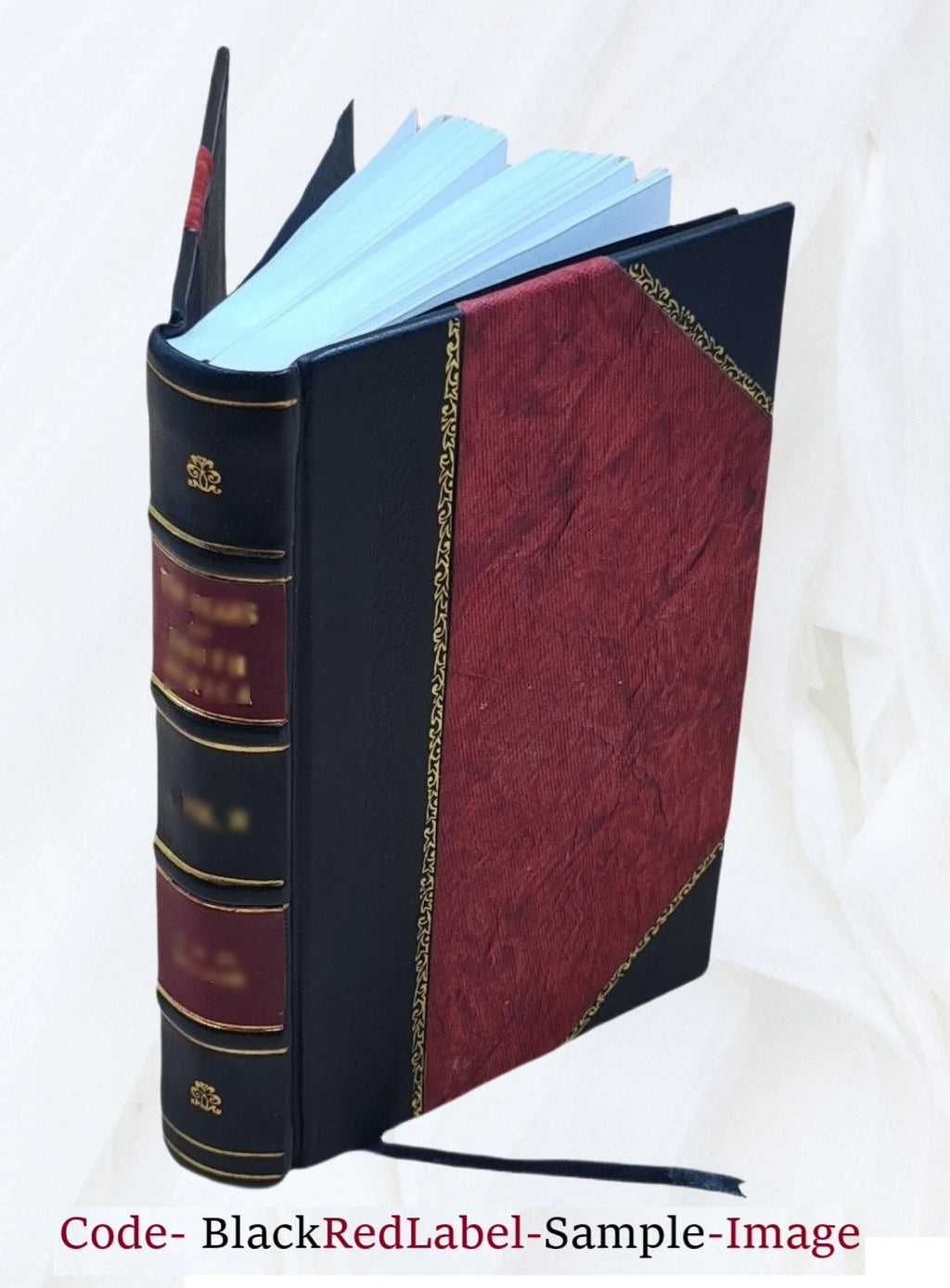 Leather Bound Book Q566